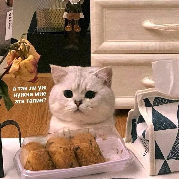     :      
