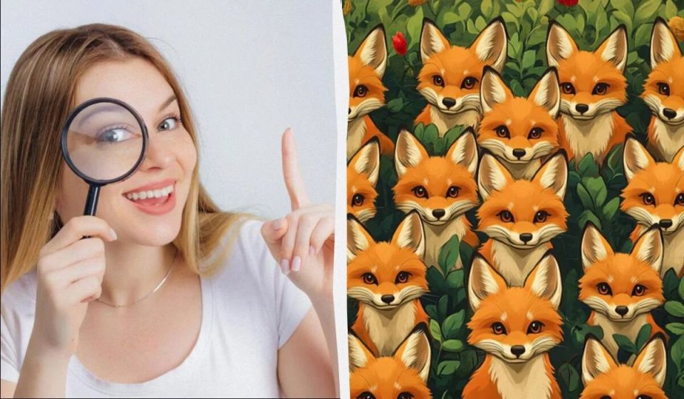    :     5 