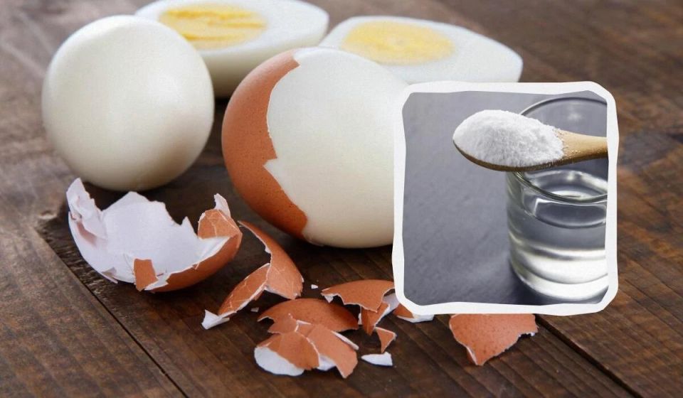    :    