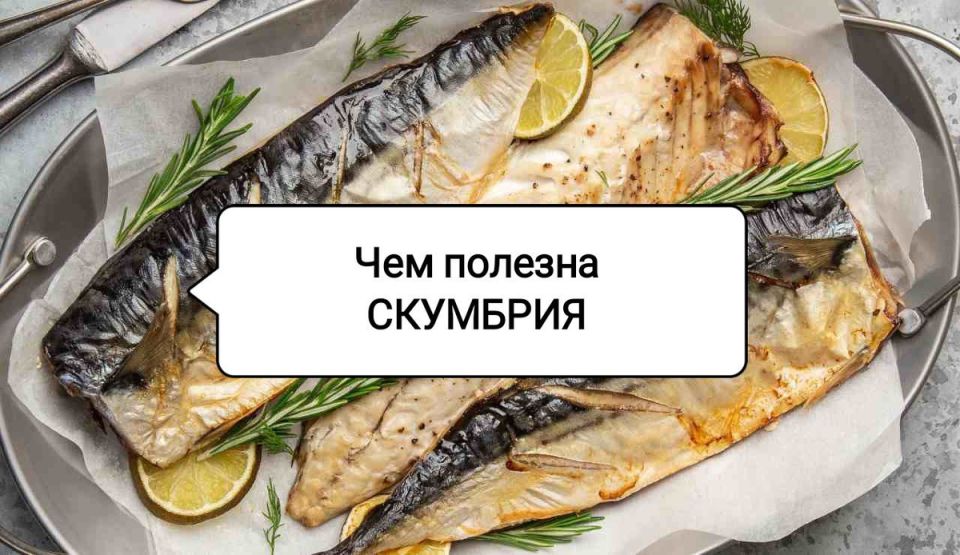 :  ,      