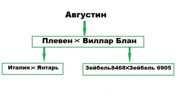  :     