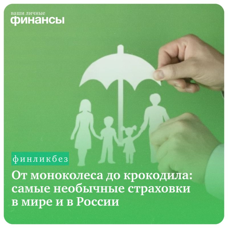От экзотических животных до неожиданных рисков: самые необычные страховые полисы 2025 года