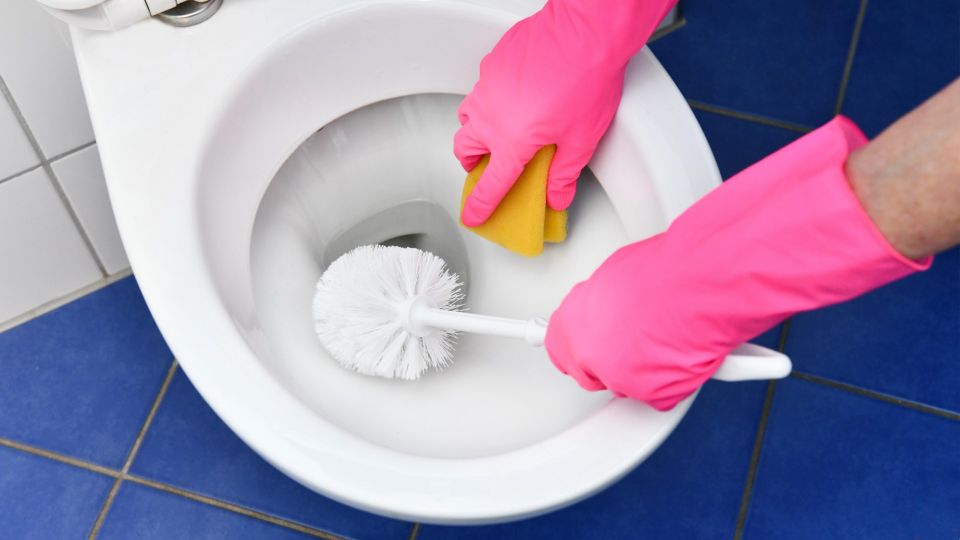 Больше никаких дорогих чистящих: это средство за копейки отбелит унитаз