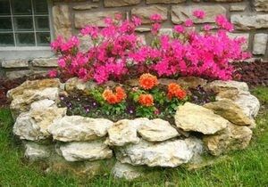 Как создать идеальный розарий на даче: секреты выбора места и сортов