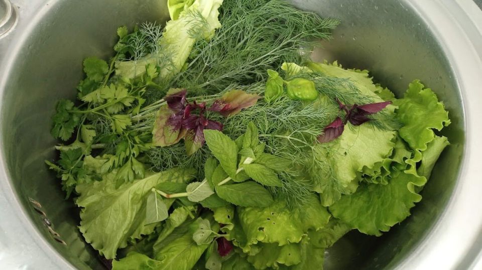 Секреты тщательной очистки зелени: как избавиться от жучков и паразитов