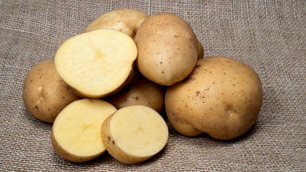 Секреты уборки от клинеров: как сделать дом сияющим без лишних затрат