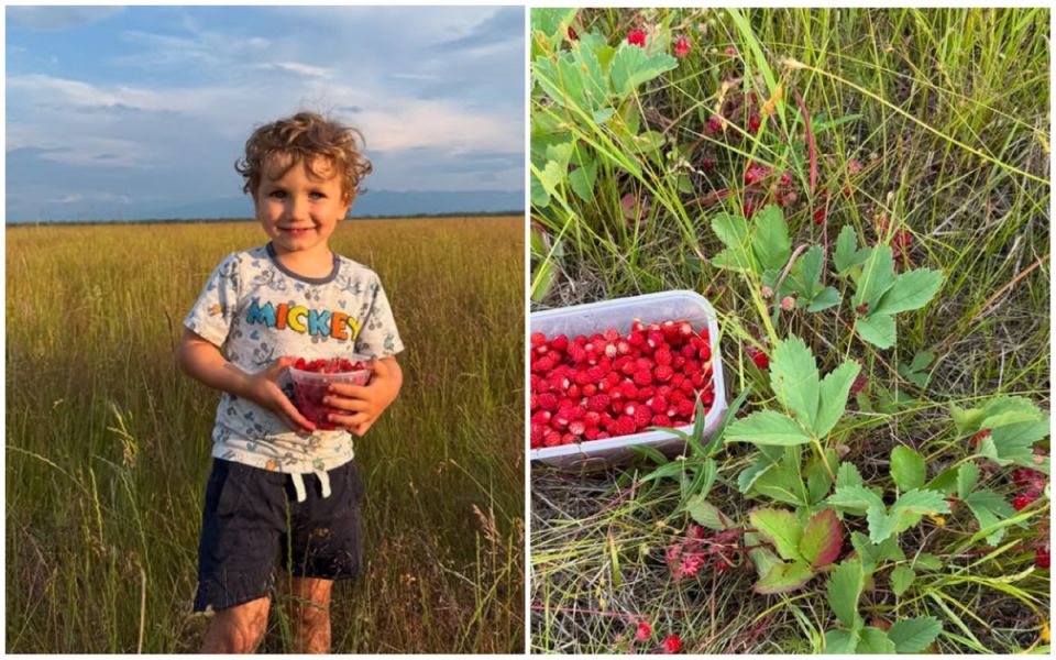 Аляска: из безмолвия природы в уют домашнего очага