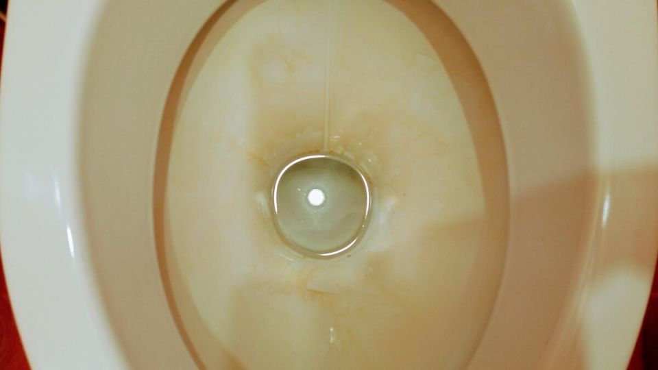 Эффективное и недорогое средство для чистки унитаза: секреты чистоты от мастеров