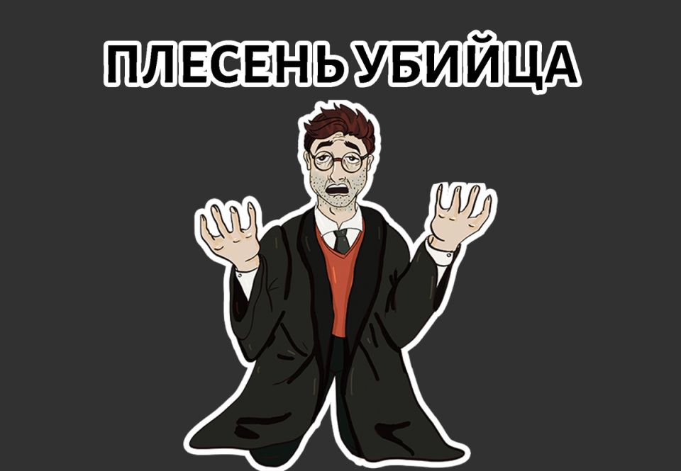 Плесень в вашем доме: почему стоит обратить внимание на эту коварную угрозу