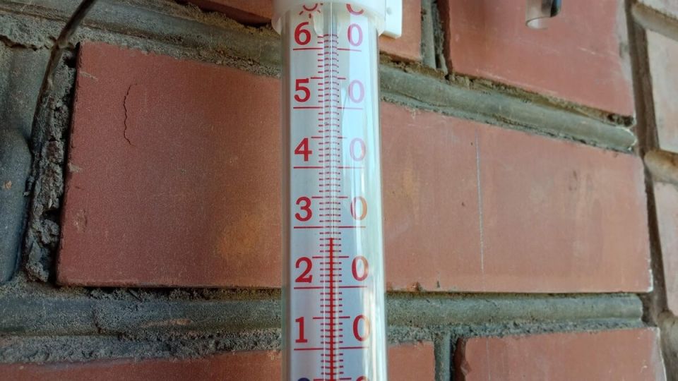 Как пережить летнюю жару: советы по изменению рациона и образа жизни