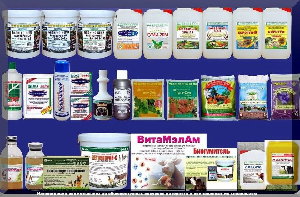 Как садоводы могут использовать биопрепараты для эффективного ухода за растениями