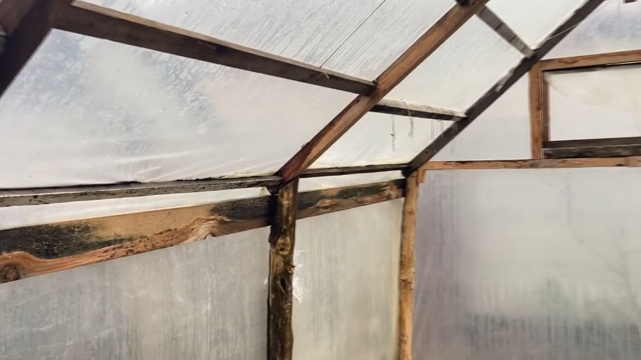 Как осенняя обработка теплицы поможет сохранить урожай и здоровье растений