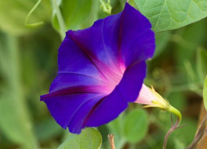 ������: ����� ����� � ����� ����