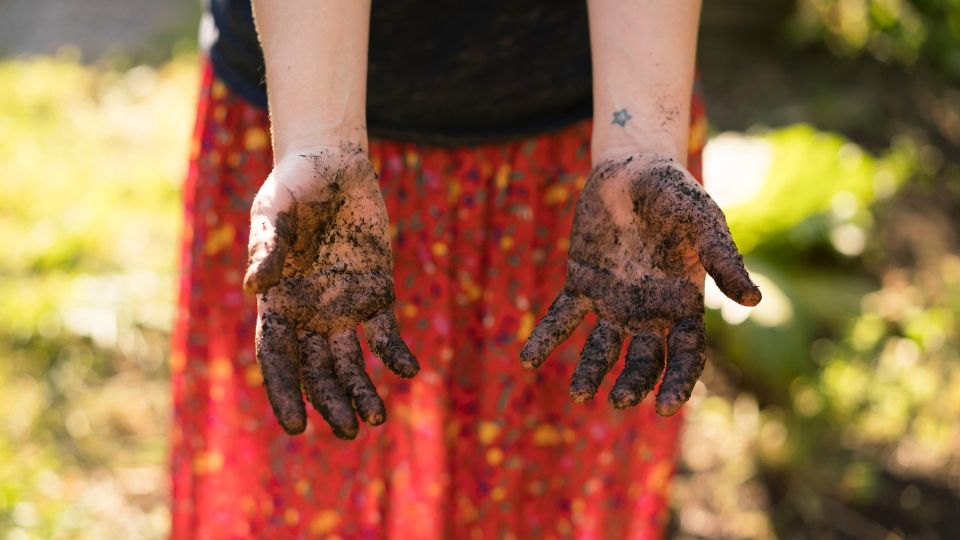 ��� 3 ������� ����� ������ ����� ������� ����� ������ �� �������: ������ � ����������