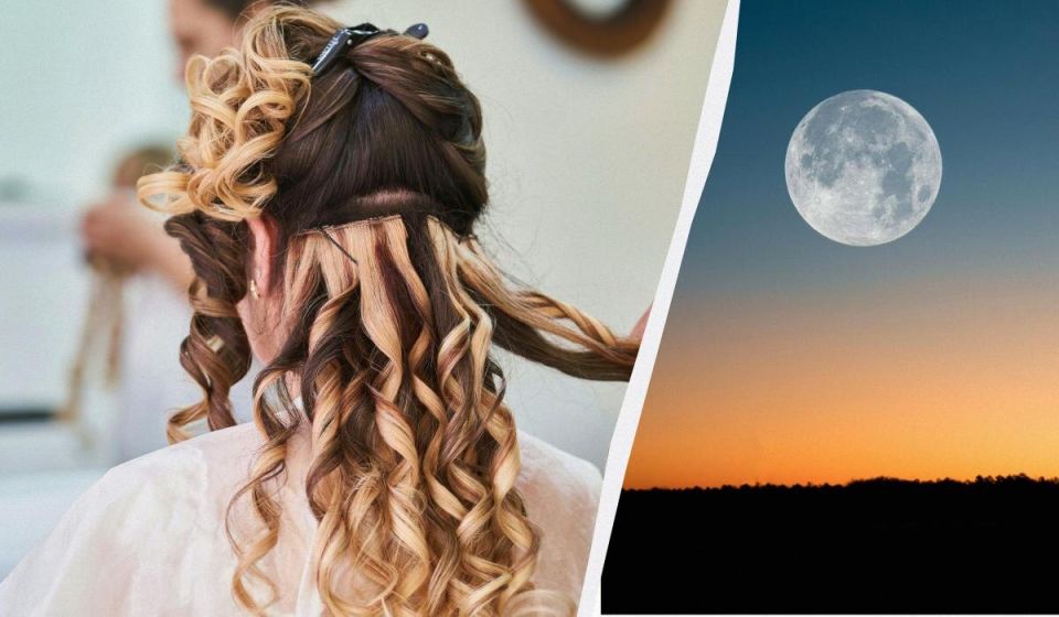 ������ ��� ������ ��� ������������: ����� ���������� � ����������� �� ������� ���������