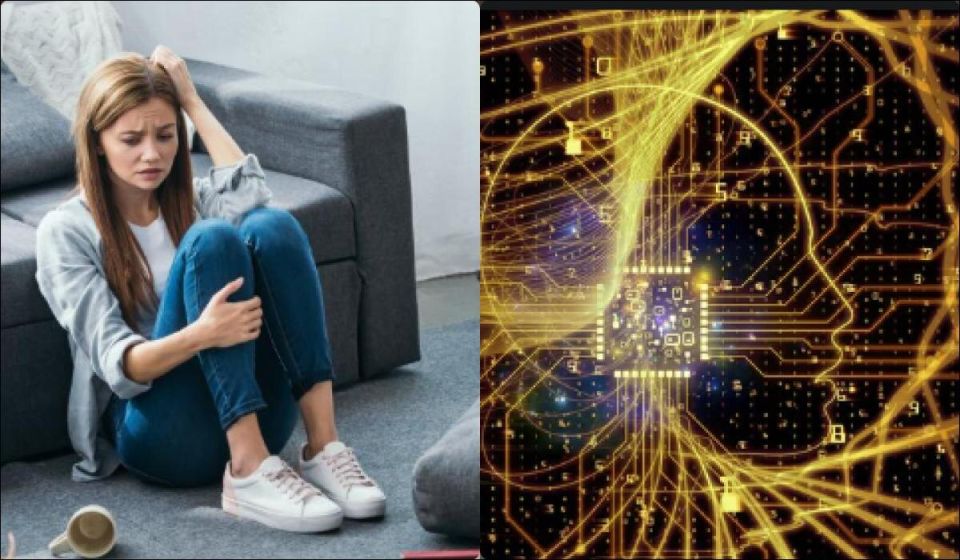 ������������� ������������: ��� ����, ��� � ������ ����� � ��������� ���� �� 2026 ����