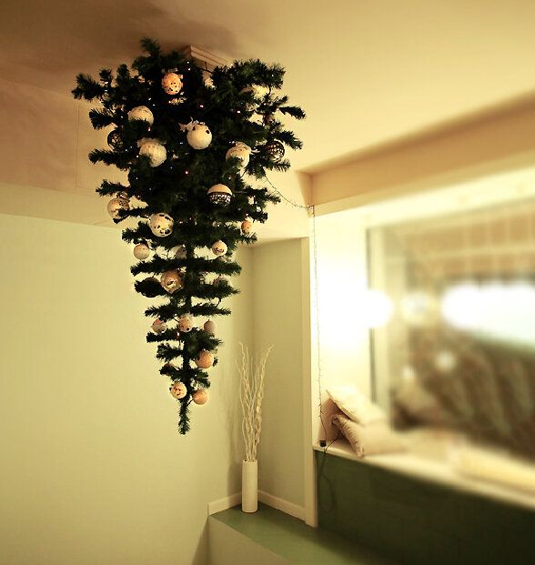 ������ ���� �� ������ ����: ������� � ����������� ������