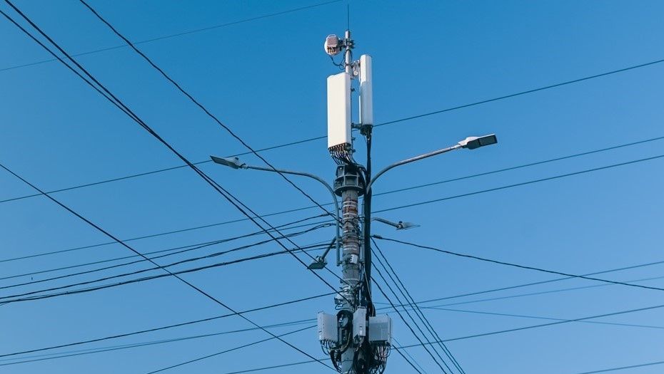 ����� ������� ���������� ���������� ���������: ��� ��� �������� �� �������