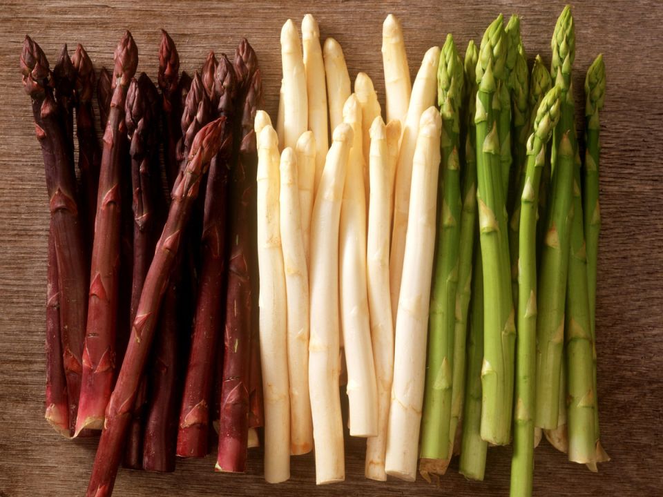 ����������� ���������: �������� ������ ��������