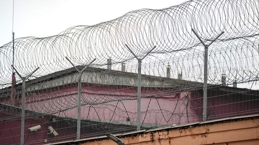 ЛДПР предлагает учитывать мнение органов опеки при назначении отсрочек наказания матерям