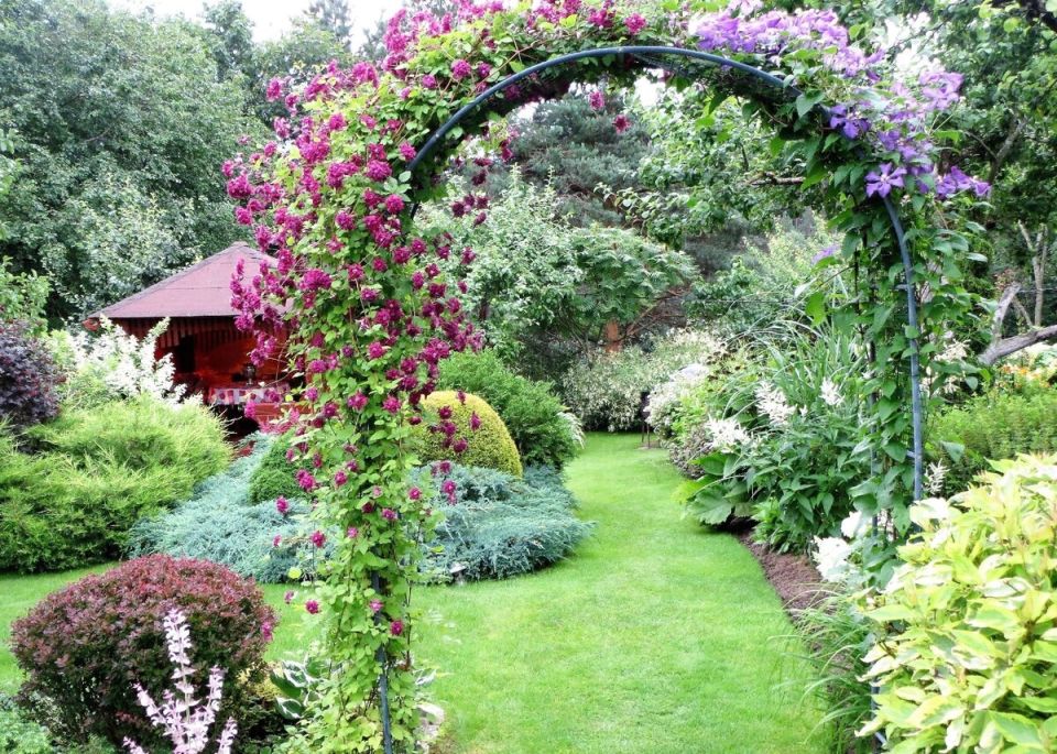 �������������� ���� ������: ������ �� ���� ������� � ������ ������