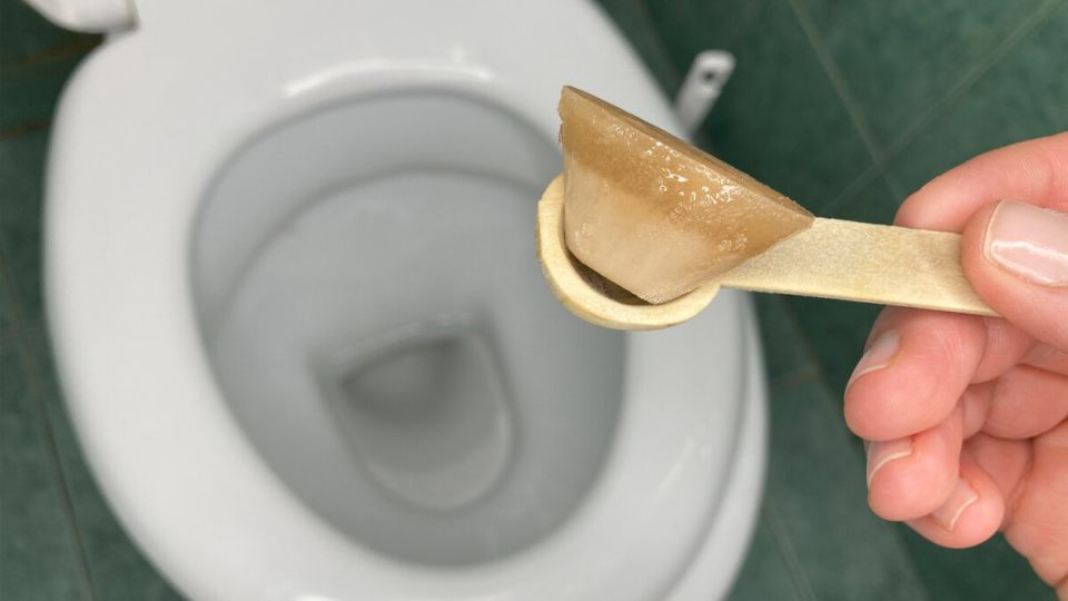 ������� ��������: ��� ������� ���� ��������� �������� ��� �������