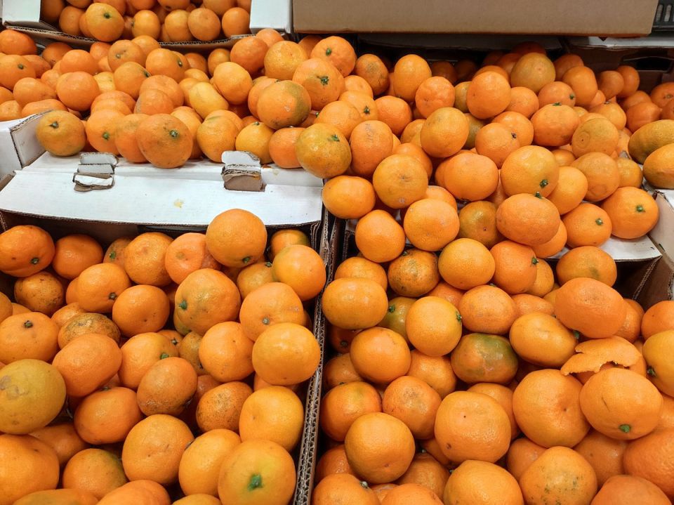 ����� ��������� ����������: ��� ���������� �������� ����