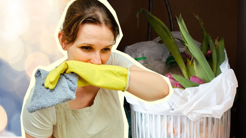 �� ��������� ����� ������ �� ����� ������: ��� 3 ����������� ������