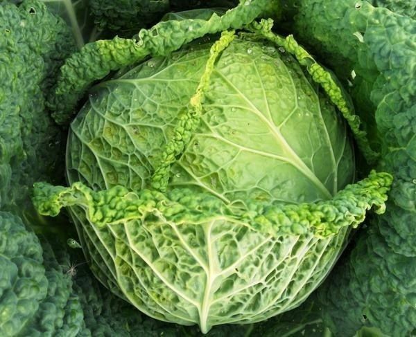 ��������� �������: ������ �� ����������� � ����� � �������� ������