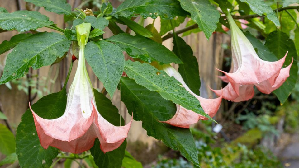 ����������: ������� ������� �������� � ���� �� ��������� ���������