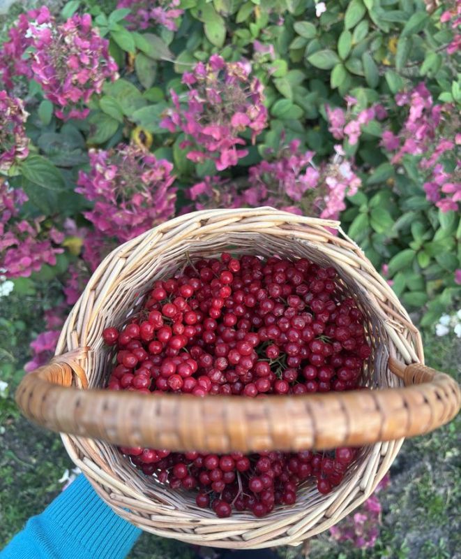 �����, ������� �������� ��� ������ � ������� �������� ������