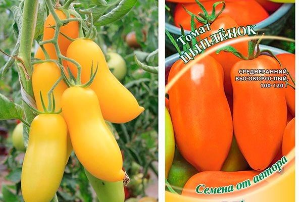 �������� ����������� ������� ����� ��������