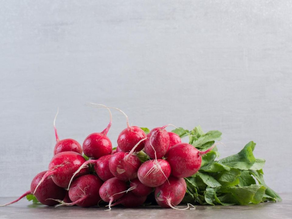 Как вырастить редиску без горечи: секреты для дачников