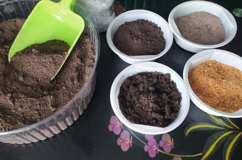 ��� ������� ��������� ����� ��� �������: ������������ ������