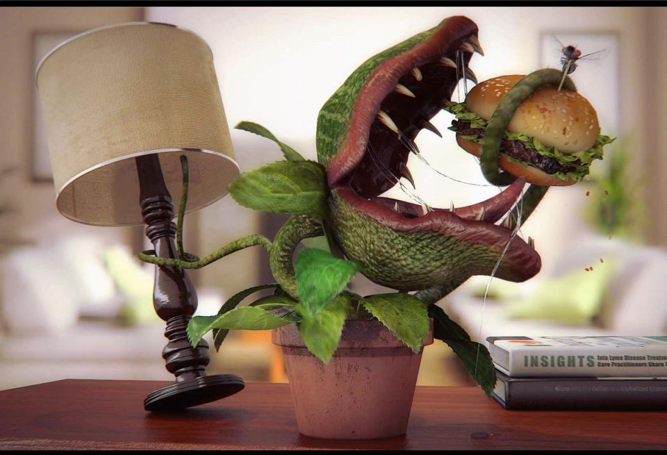 ������� ������ ��������: ��� ��������� �� ������� � �� ��������� ������