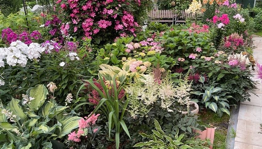 ��� ������� ������ ������������ ��������: ������� � ������