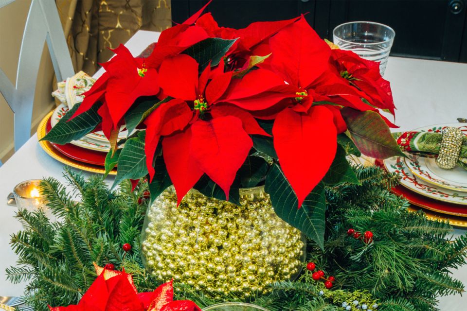 ��� ��������� ������ ��� �������������, ��������� ������ � ����������