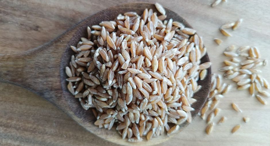 Полба как устойчивое решение для современного рациона и сельского хозяйства