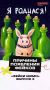 Каждый день мы сталкиваемся с десятками новостей
