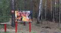Запрет на посещение лесов в Кургане продлили до 12 июня