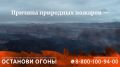 Видео федеральной информационной противопожарной кампании Останови огонь!