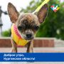 Доброе утро, Курганская область!