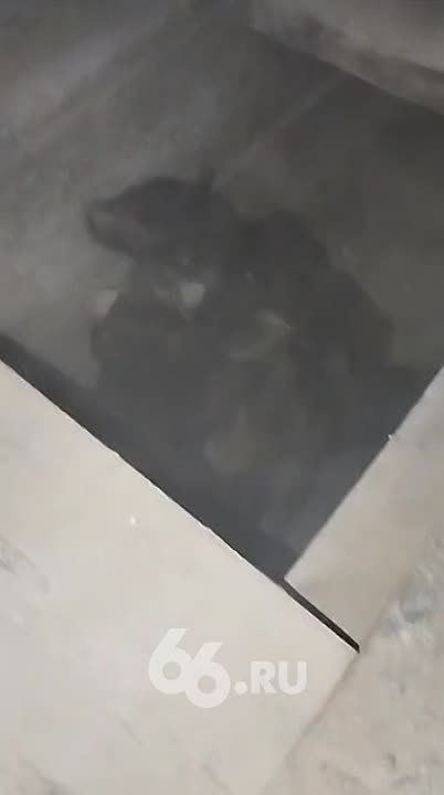    .     ,        10 