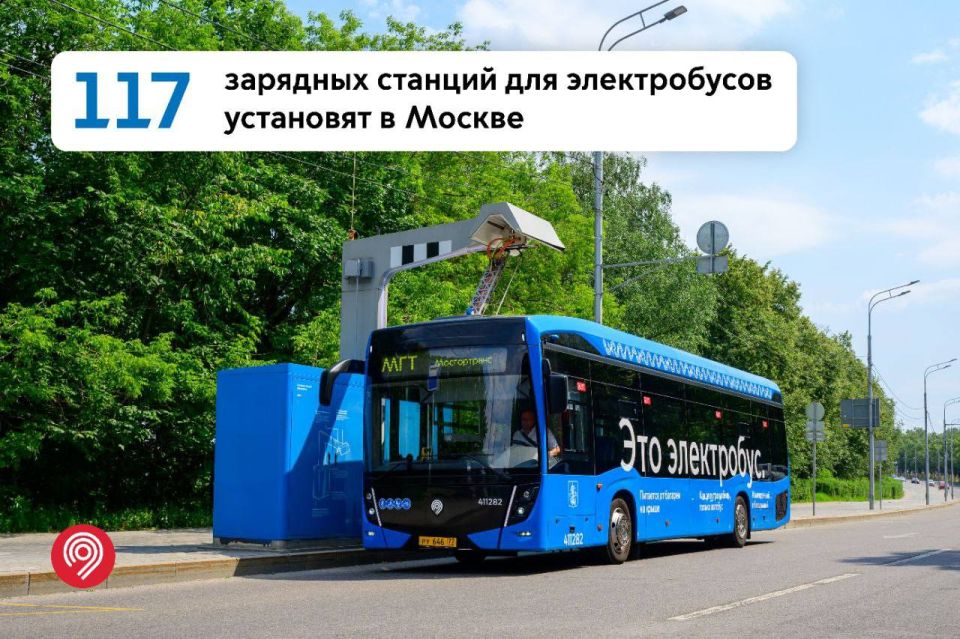  :  117       