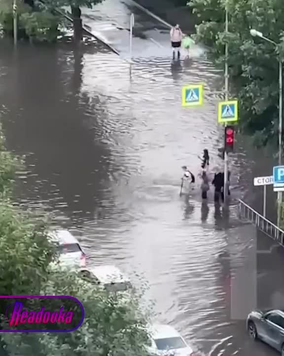         ,    