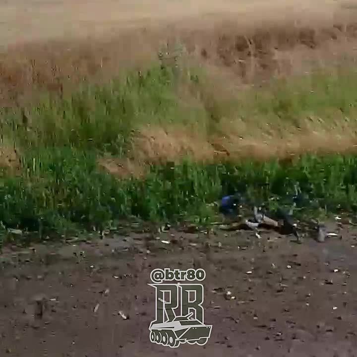   :  FPV     