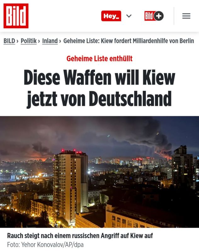 Bild   ,      