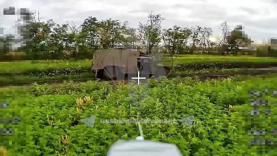   FPV  .             