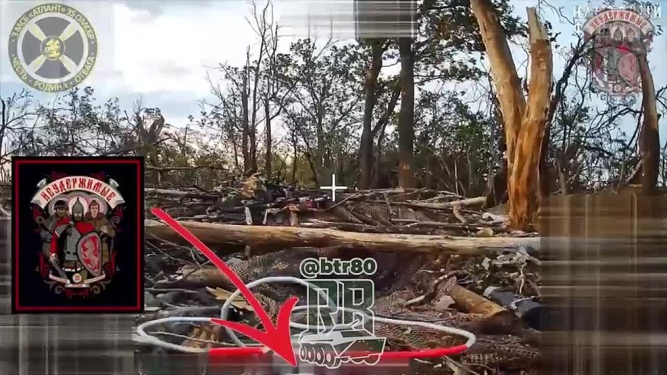   :  FPV      