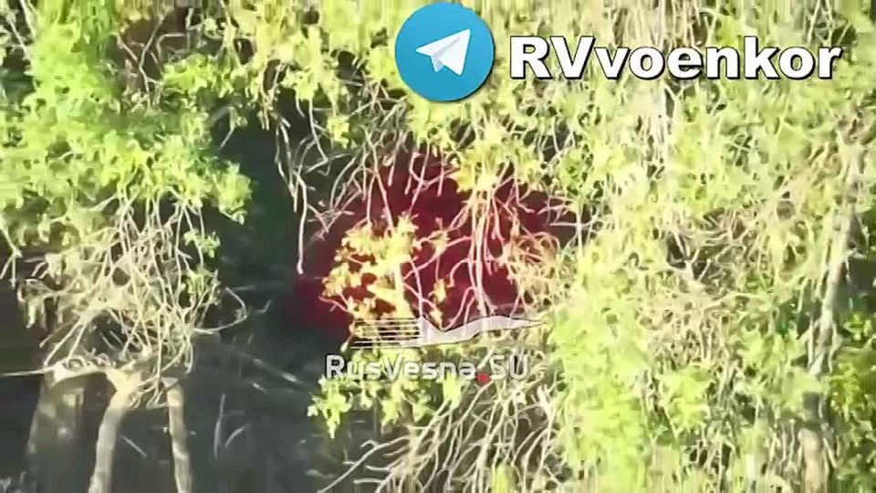    :        ,    